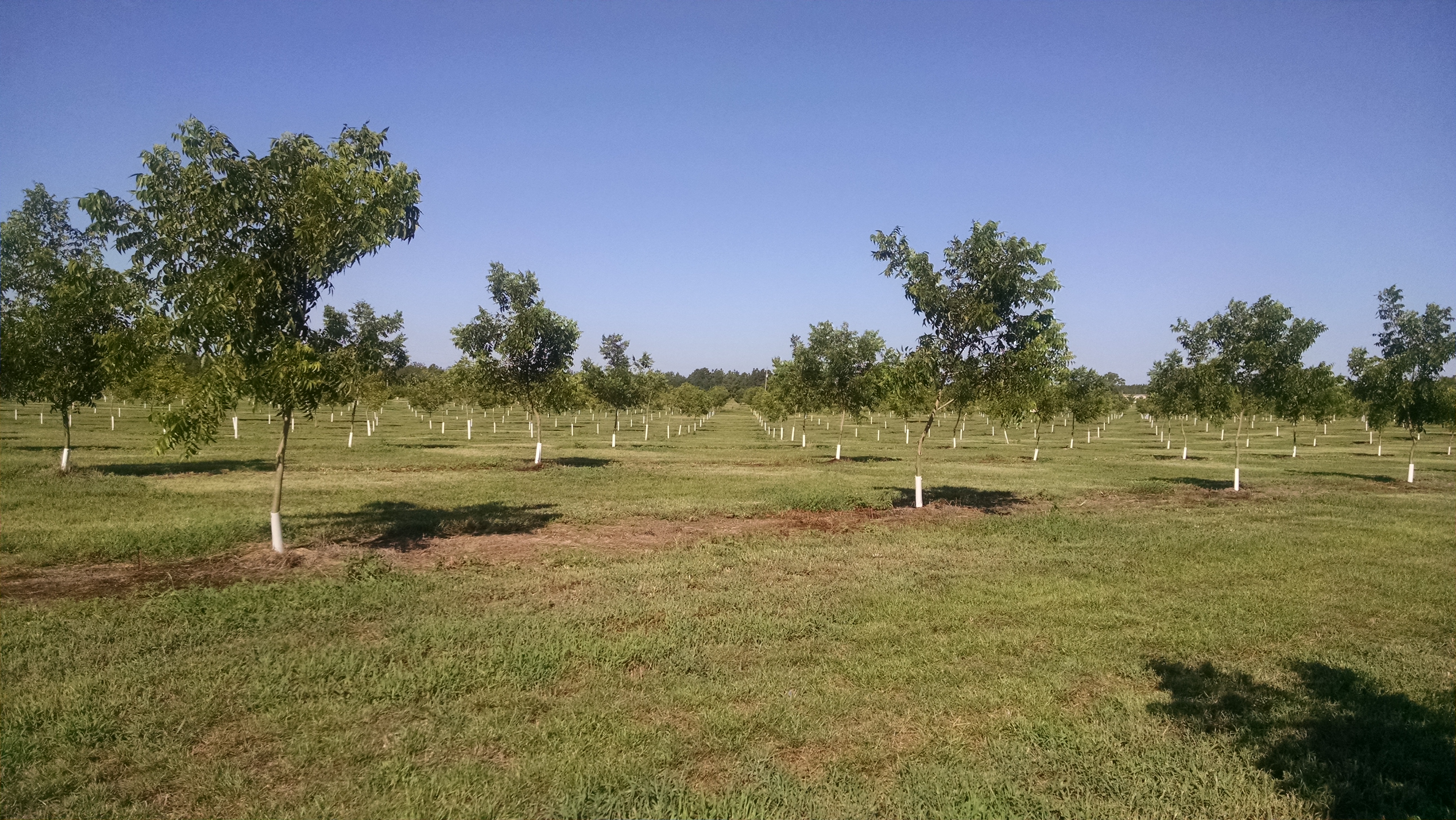 phonepic2016 265.jpg