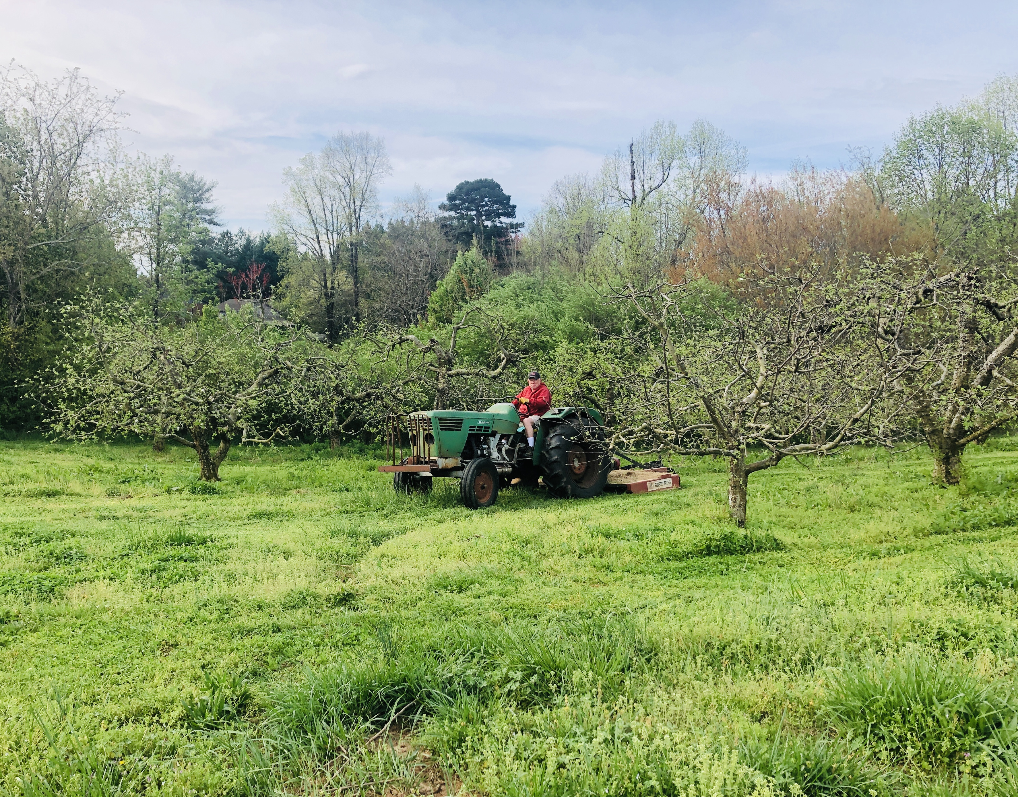 Mowing Apples.JPG