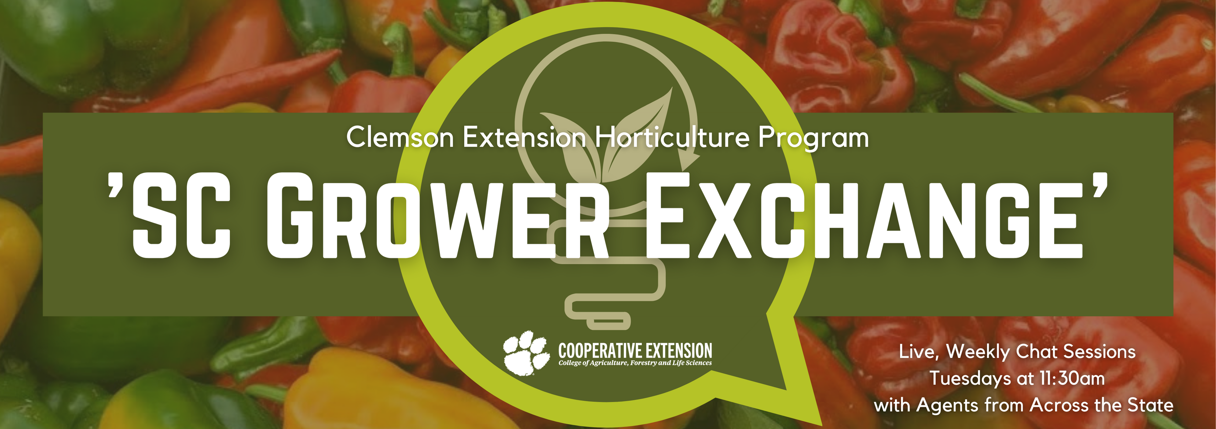 SC Grower Exchange TODAY – The South Carolina Grower