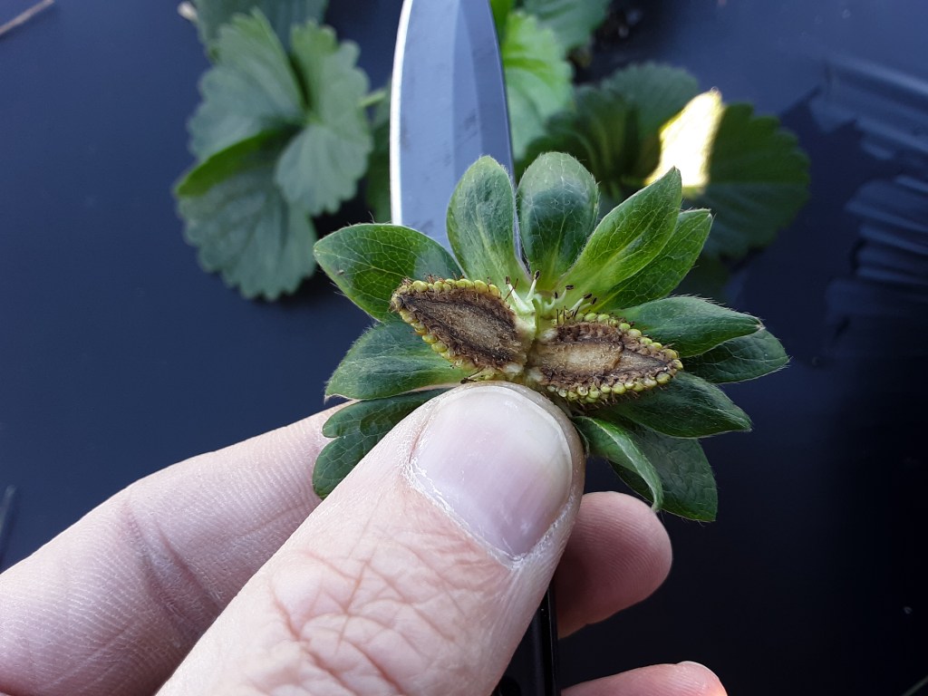 Weekly Field Update –&nbsp;1/18/22