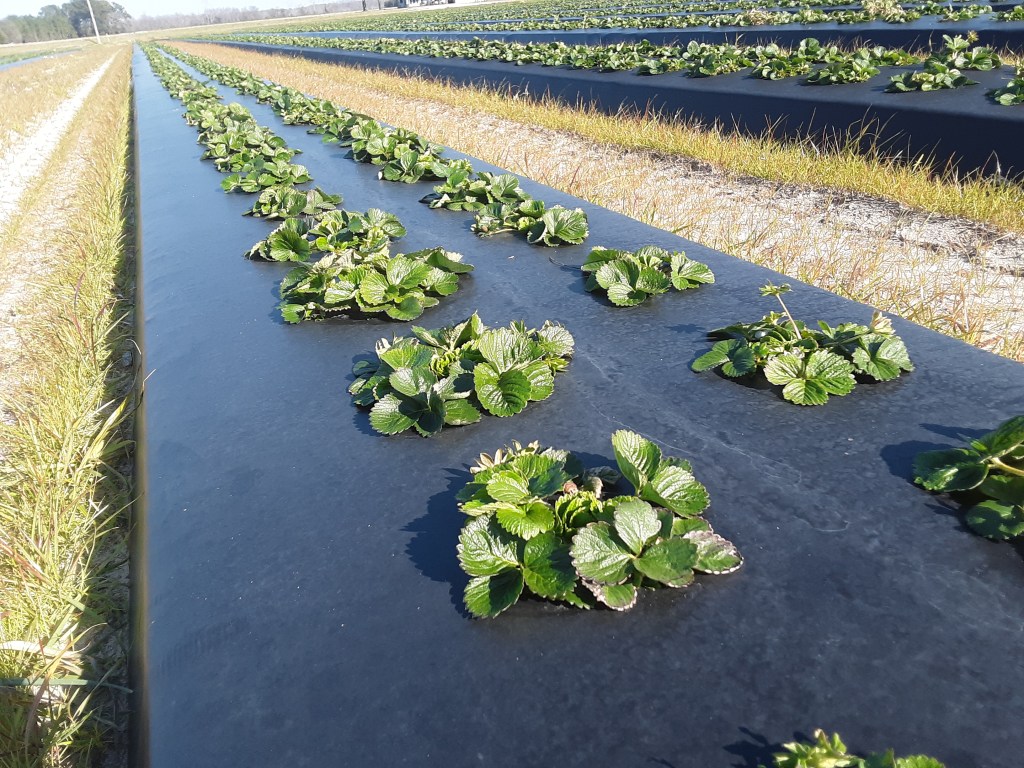 Weekly Field Update –&nbsp;1/31/22