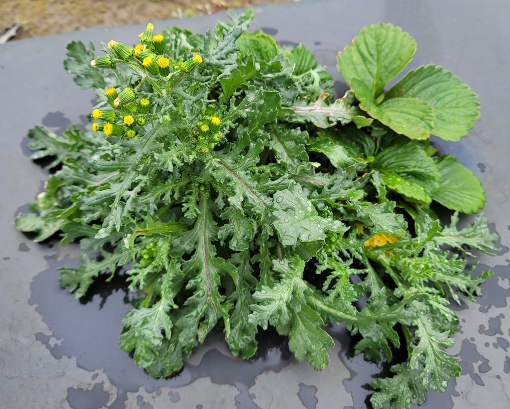 Weekly Field Update –&nbsp;2/7/22