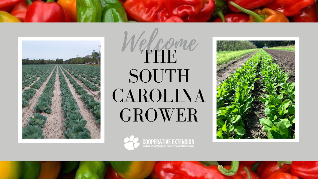 2024 Year in&nbsp;Review