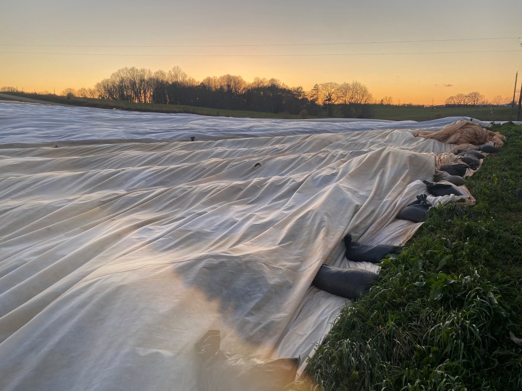 Weekly Field Update –&nbsp;3/14/22