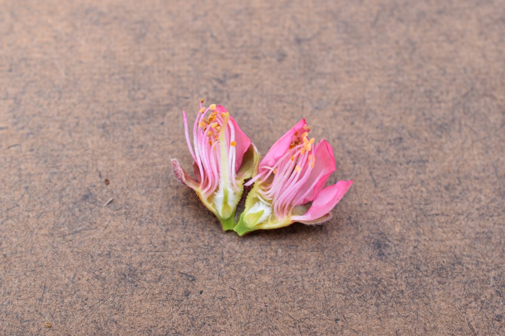 Weekly Field Update –&nbsp;3/21/22