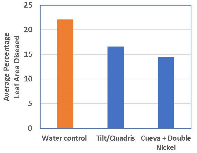 Fungicides to Manage Cercospora Leaf Spot on Beet