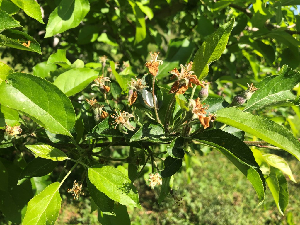 Weekly Field Update –&nbsp;5/9/22