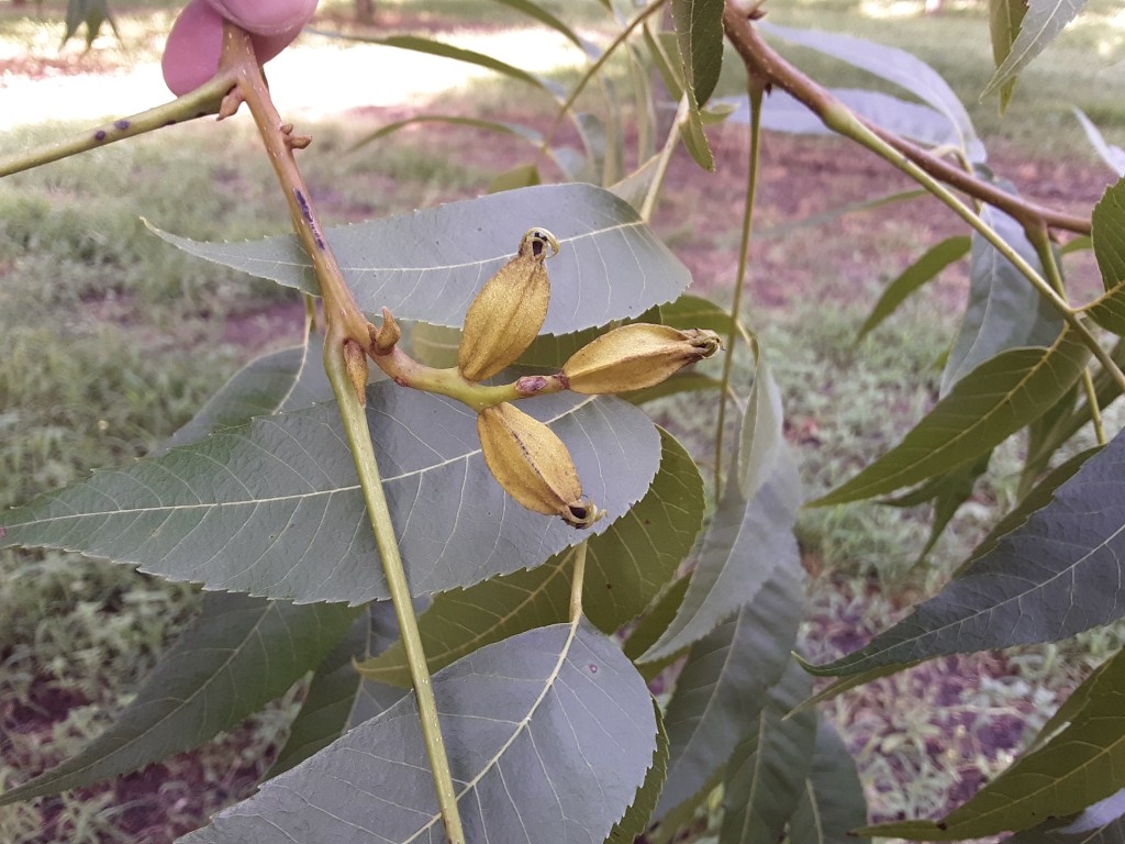 Weekly Field Update –&nbsp;6/20/22