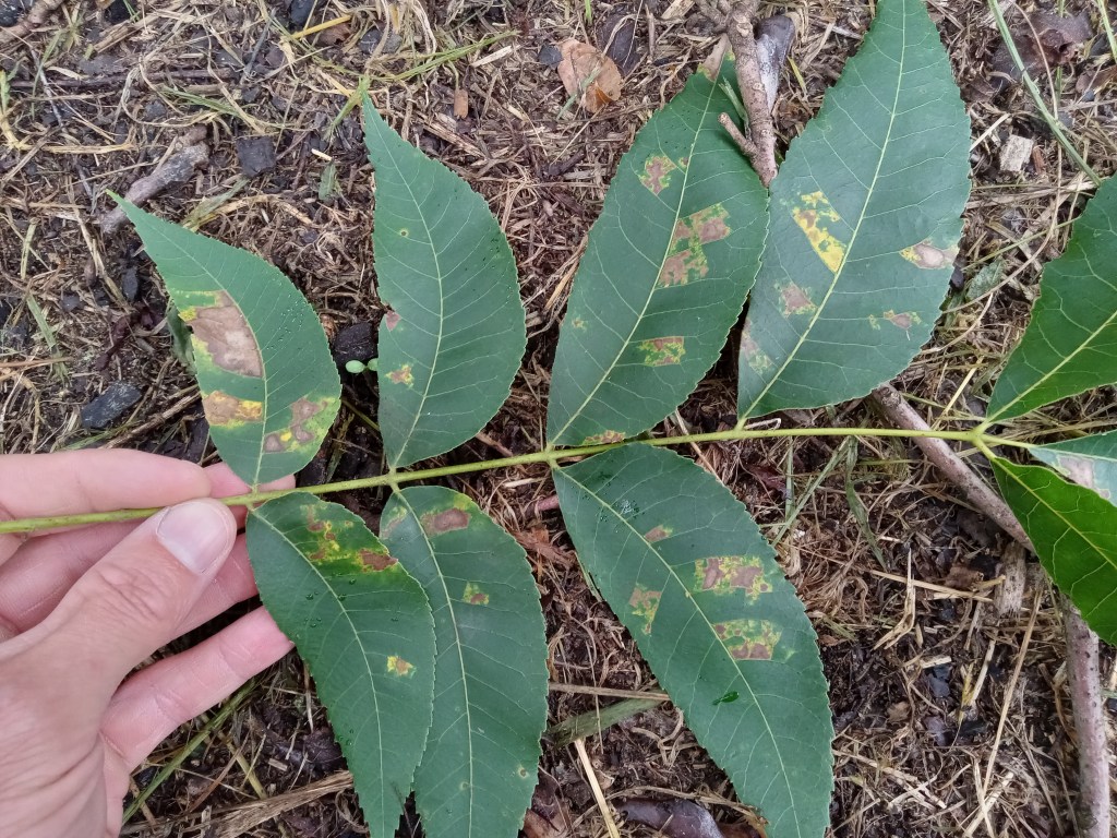 Weekly Field Update –&nbsp;8/22/22