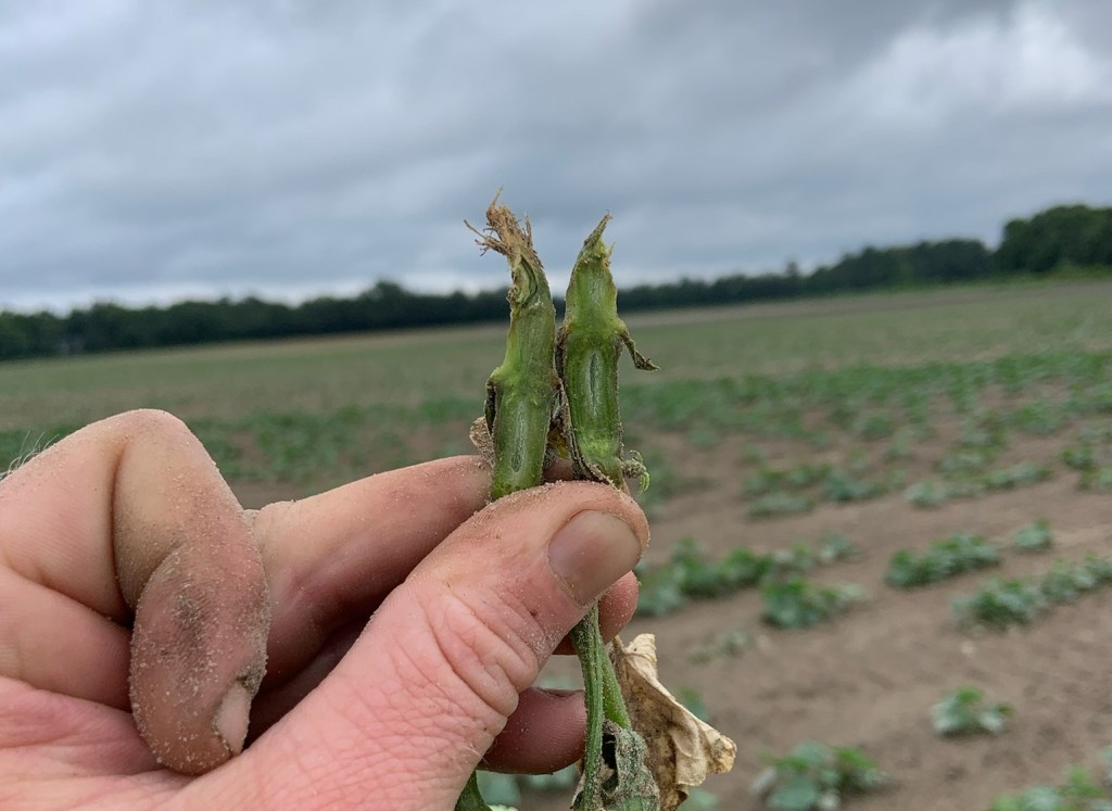 Weekly Field Update –&nbsp;9/6/22