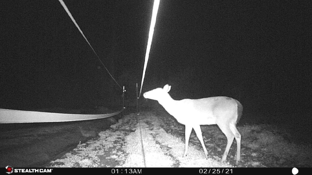 Weekly Field Update –&nbsp;9/19/22