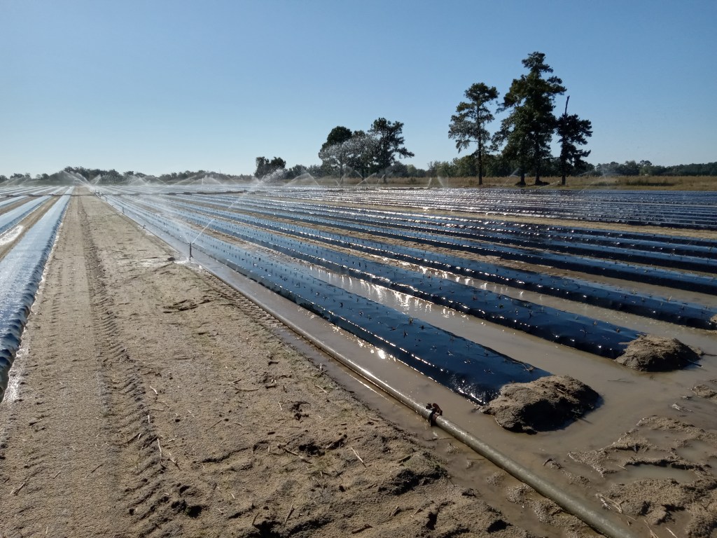 Weekly Field Update –&nbsp;10/24/22