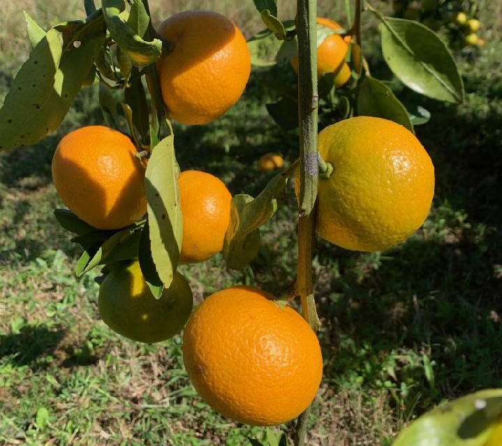 Weekly Field Update –&nbsp;10/10/22