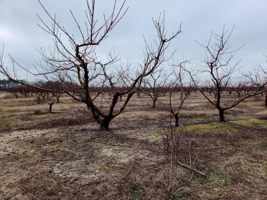 Weekly Field Update –&nbsp;1/23/23