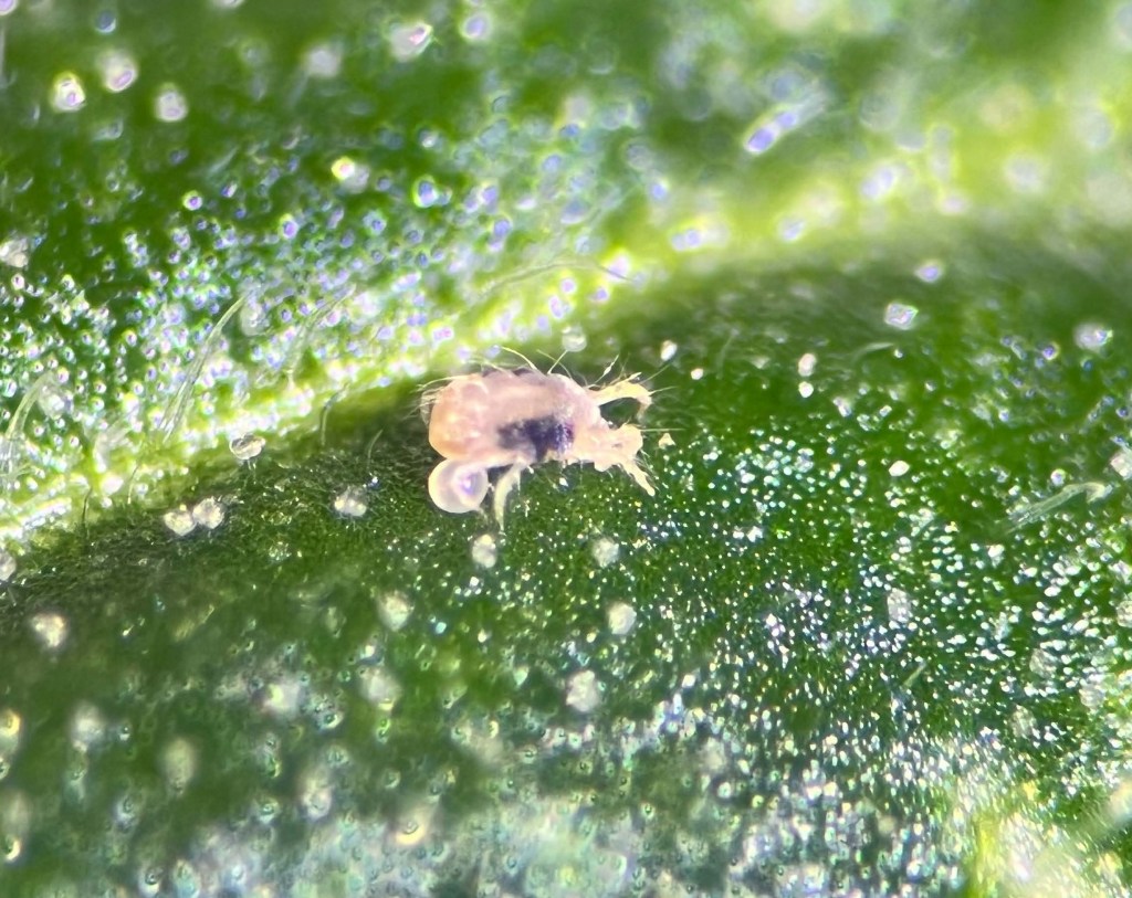 Weekly Field Update – 1/30/23