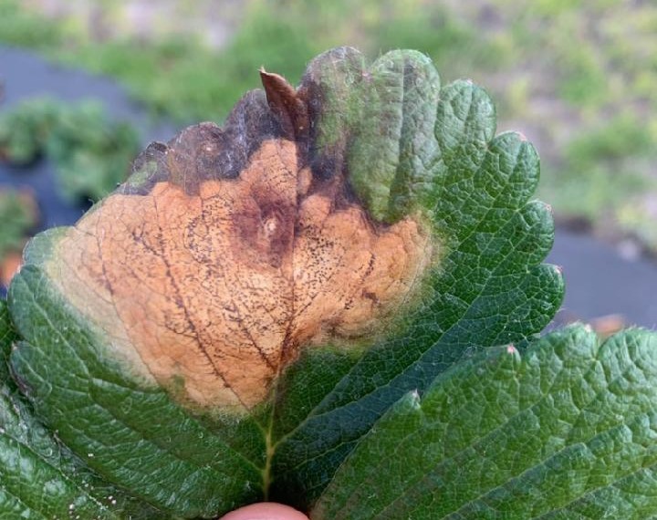 Weekly Field Update –&nbsp;1/17/23