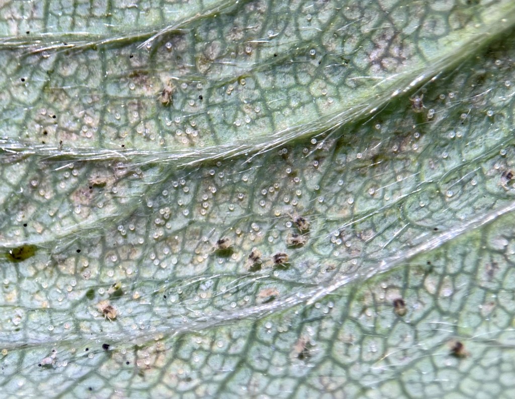 Weekly Field Update –&nbsp;2/20/23