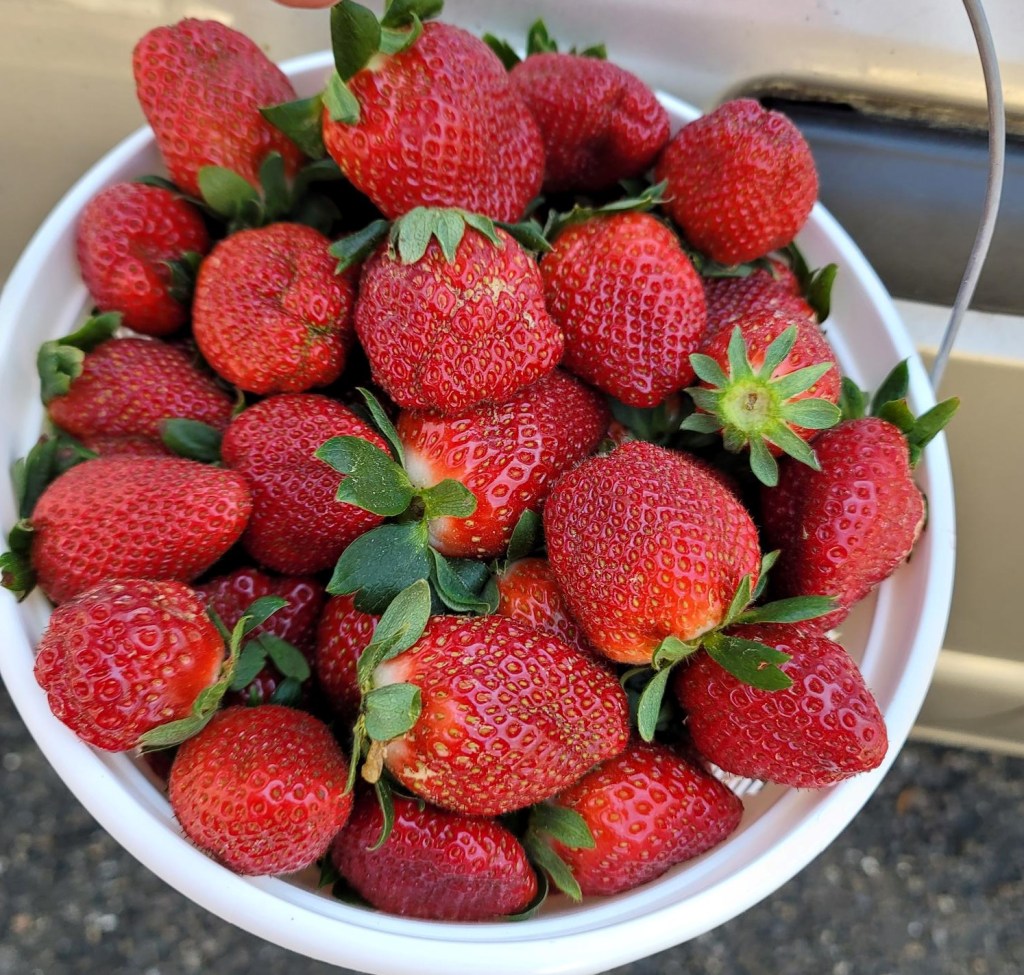 Weekly Field Update – 3/13/23