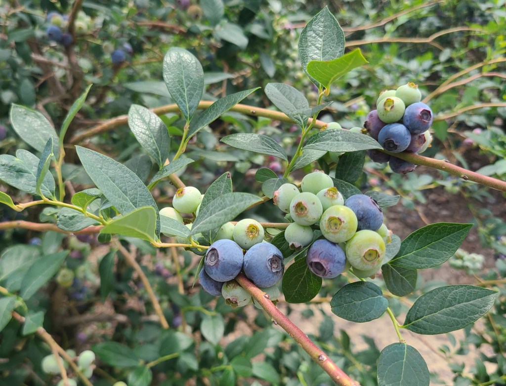 Weekly Field Update –&nbsp;5/1/23