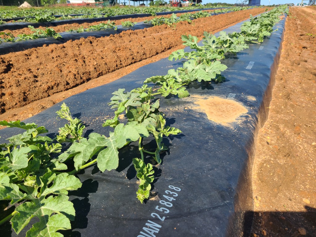 Weekly Field Update –&nbsp;5/8/23