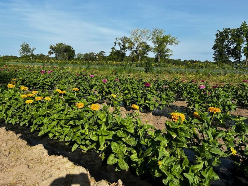 Weekly Field Update –&nbsp;5/15/23