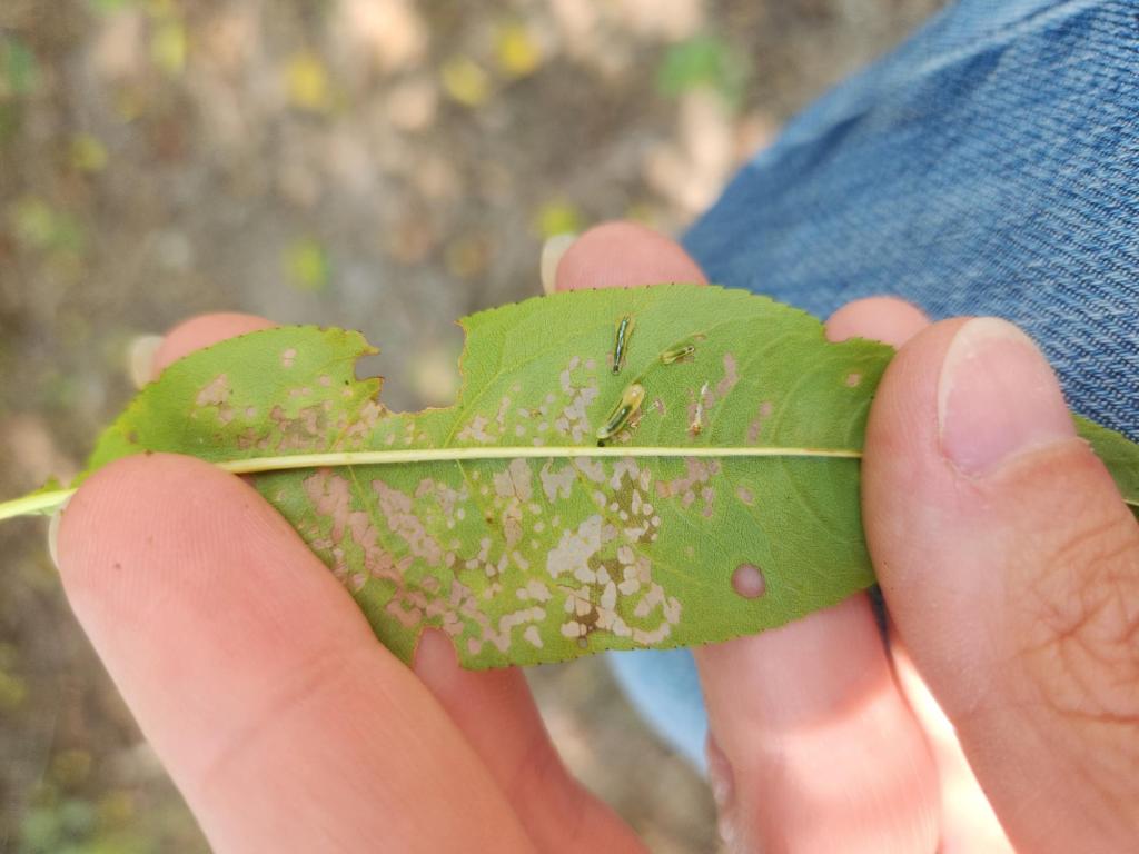 Weekly Field Update –&nbsp;9/11/23