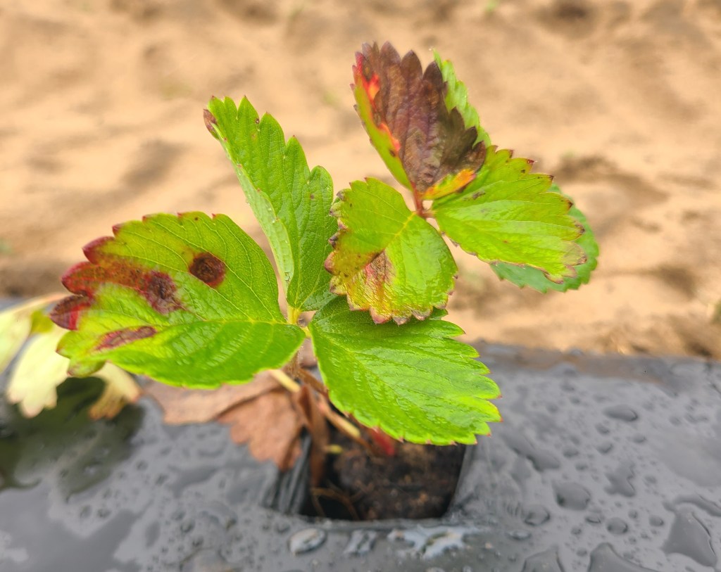 Weekly Field Update –&nbsp;10/16/23