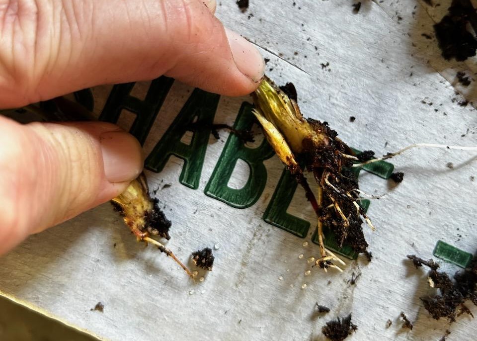 Weekly Field Update –&nbsp;10/30/23