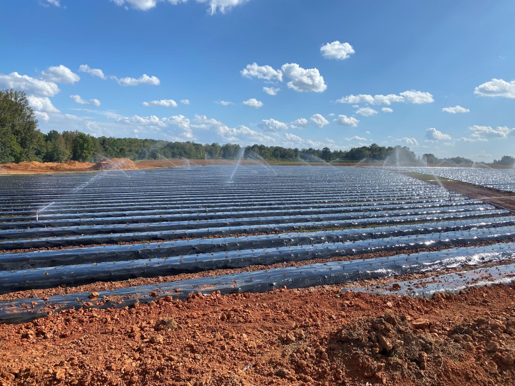 Weekly Field Update –&nbsp;10/9/23