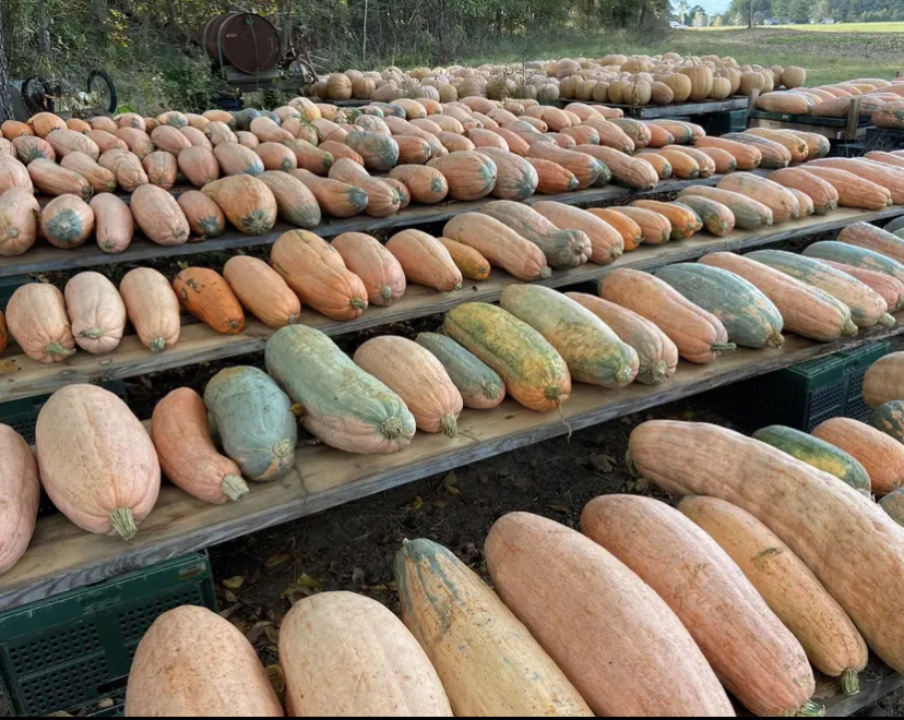 Weekly Field Update –&nbsp;11/6/23