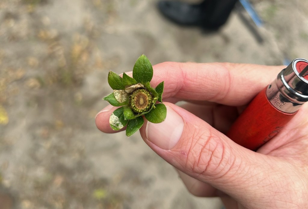 Weekly Field Update –&nbsp;1/29/24