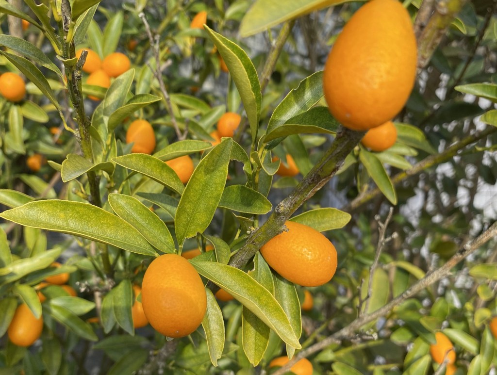 Weekly Field Update –&nbsp;1/22/24