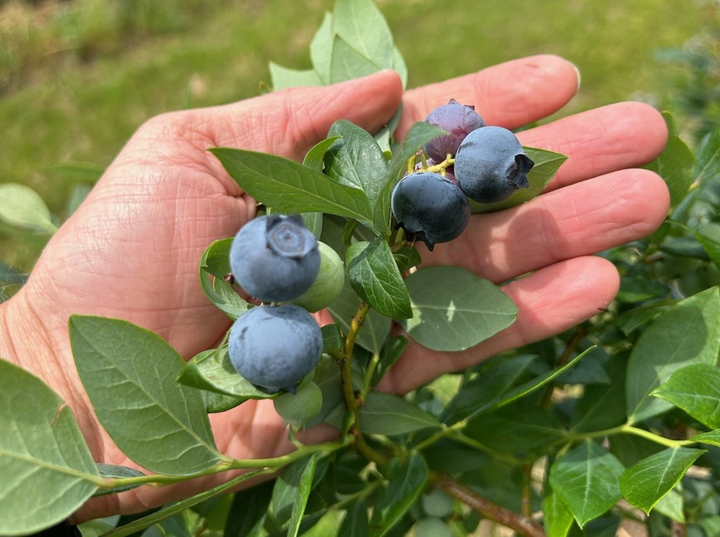 Weekly Field Update –&nbsp;4/22/24