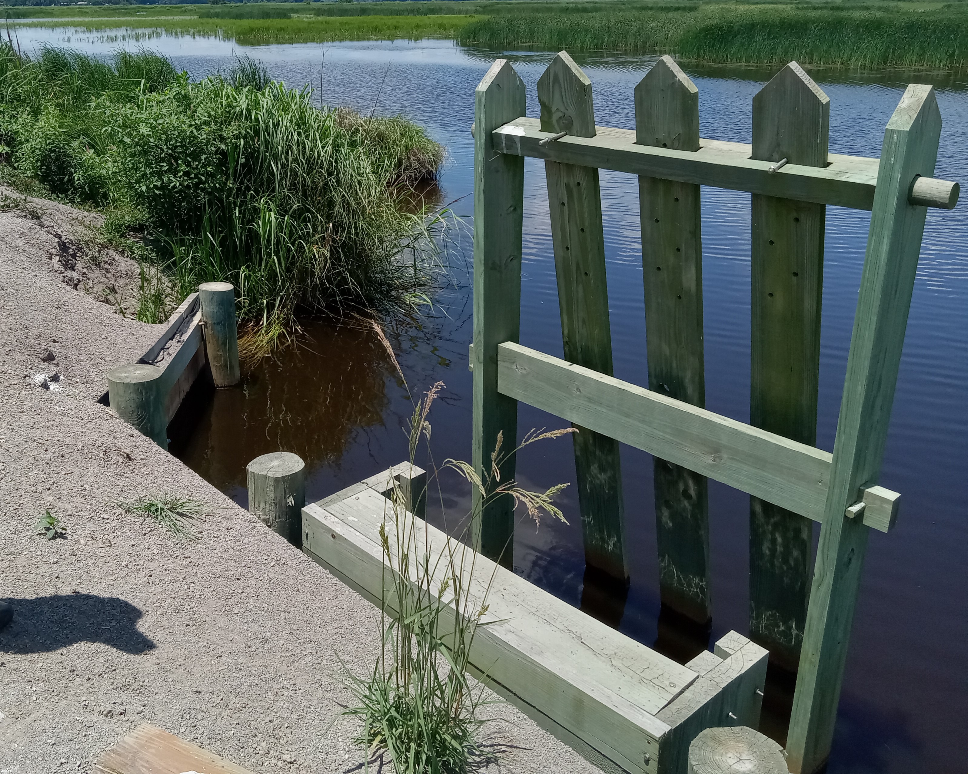 Kinlock Rice Trunk Question of the Week – Rice Trunk – The South Carolina Grower