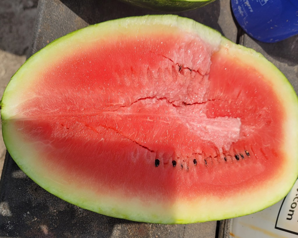 Weekly Field Update –&nbsp;6/17/24