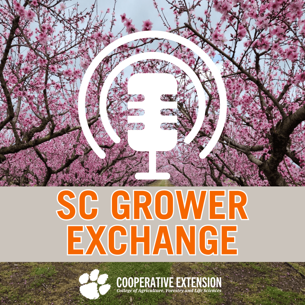 SC Grower Exchange-November Deep Dive: Citrus