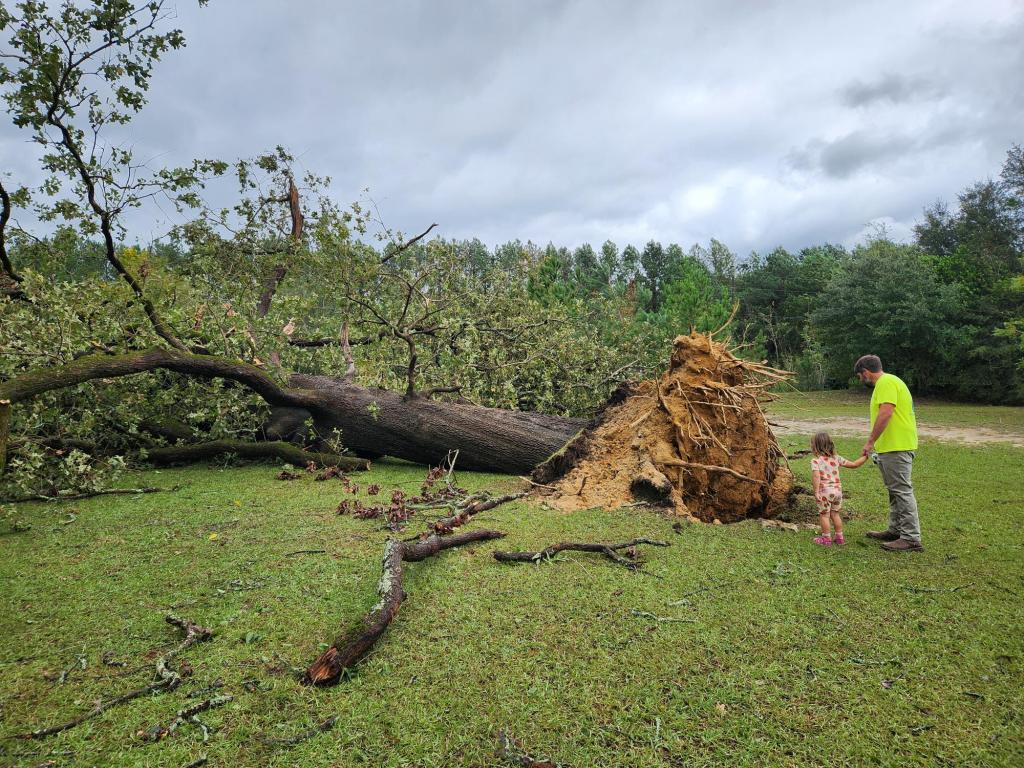 Weekly Field Update –&nbsp;9/30/24