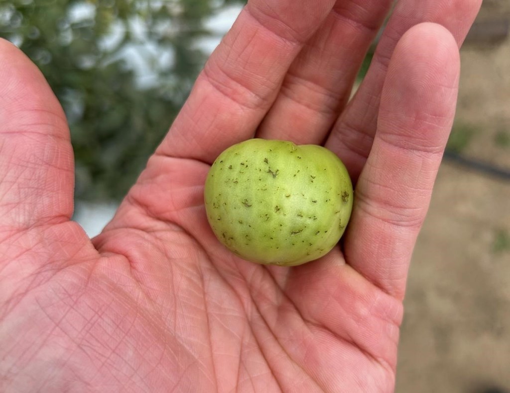 Question of the Week – Sandblasting