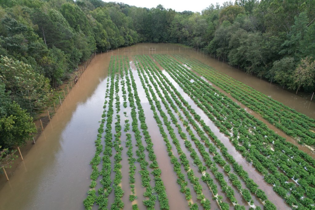 Storm Damage from Around the&nbsp;State