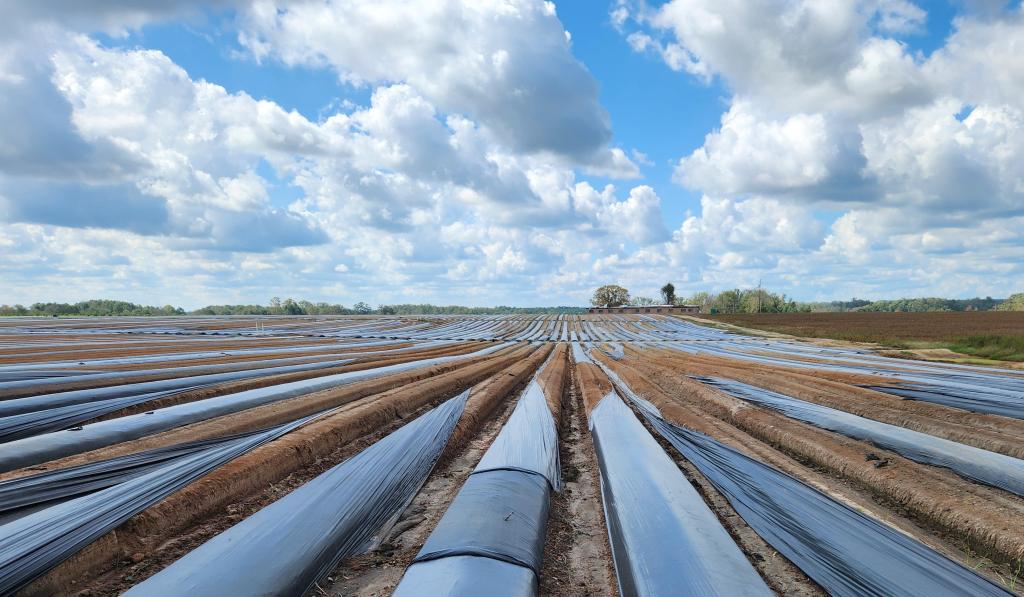 Weekly Field Update –&nbsp;10/7/24