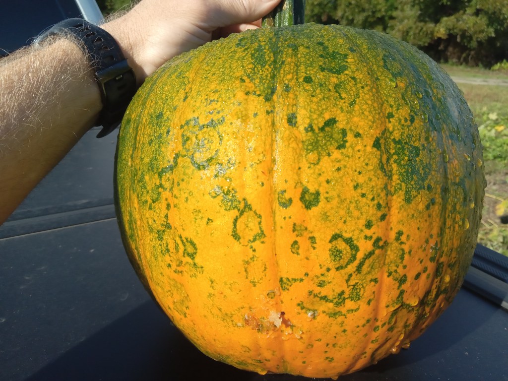 Question of the Week –&nbsp;Virus