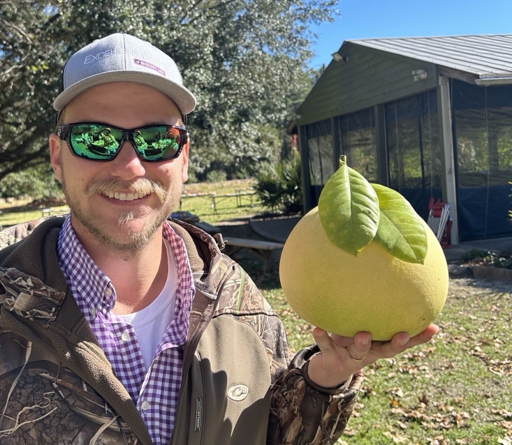 Question of the Week –&nbsp;Pomelo