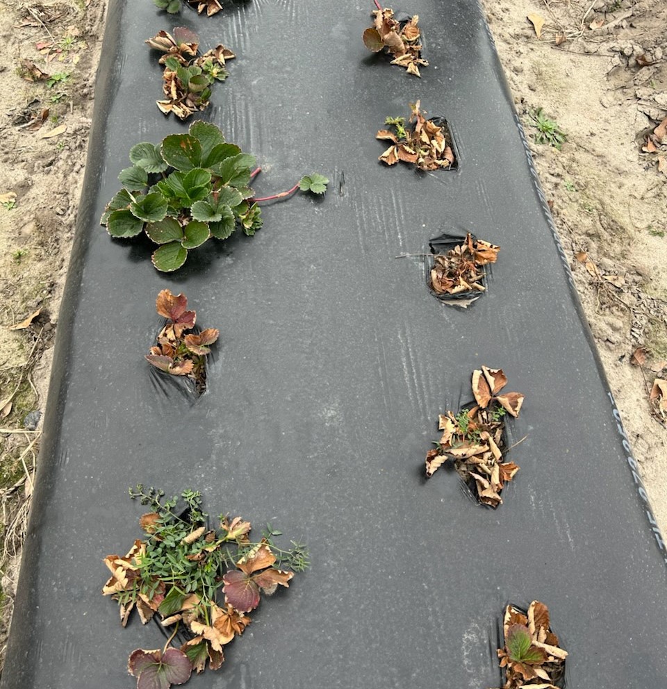 Weekly Field Update –&nbsp;2/17/25