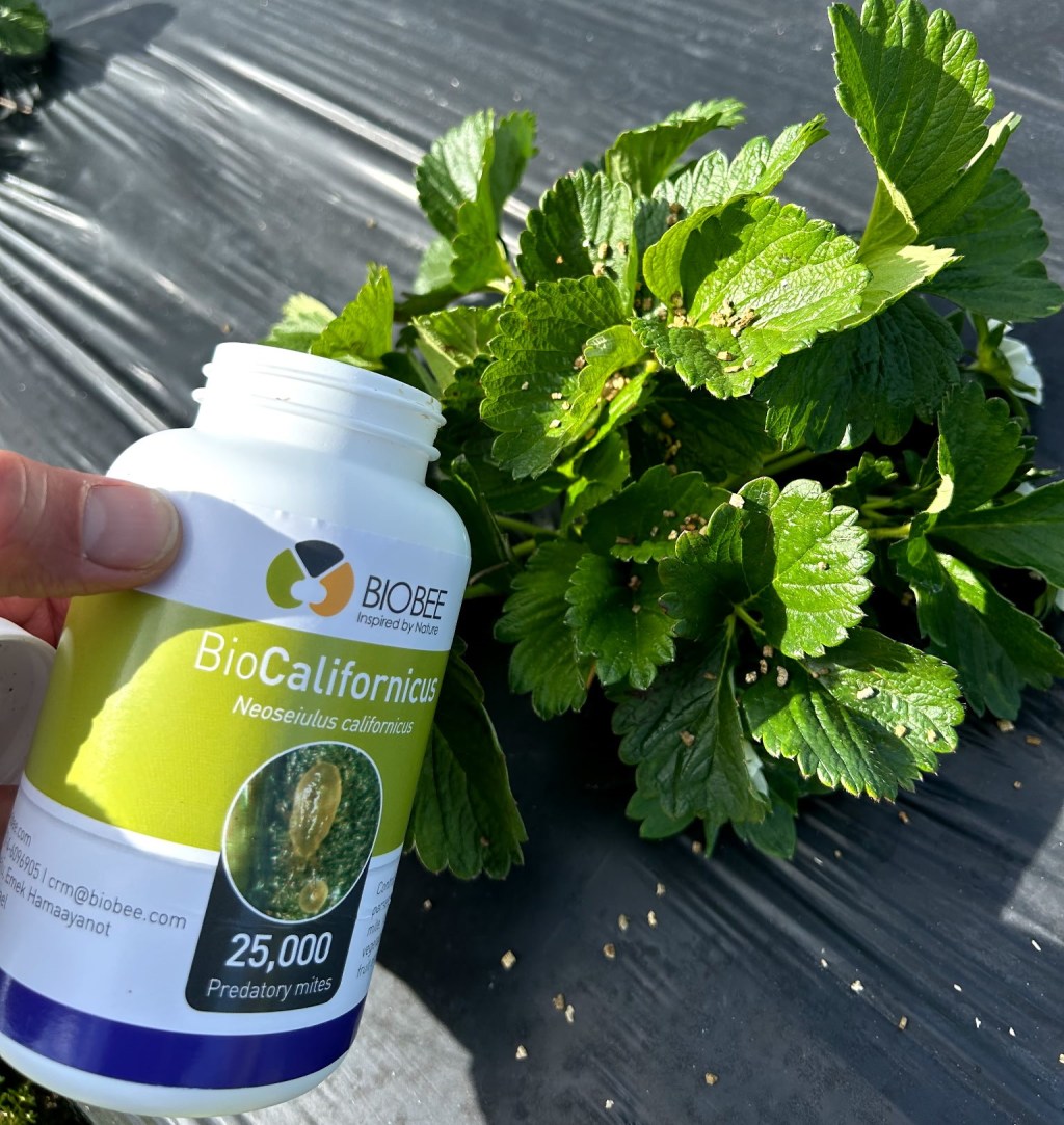 Weekly Field Update –&nbsp;3/10/25