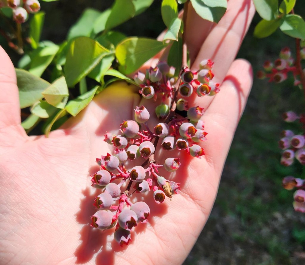 Weekly Field Update – 4/14/25