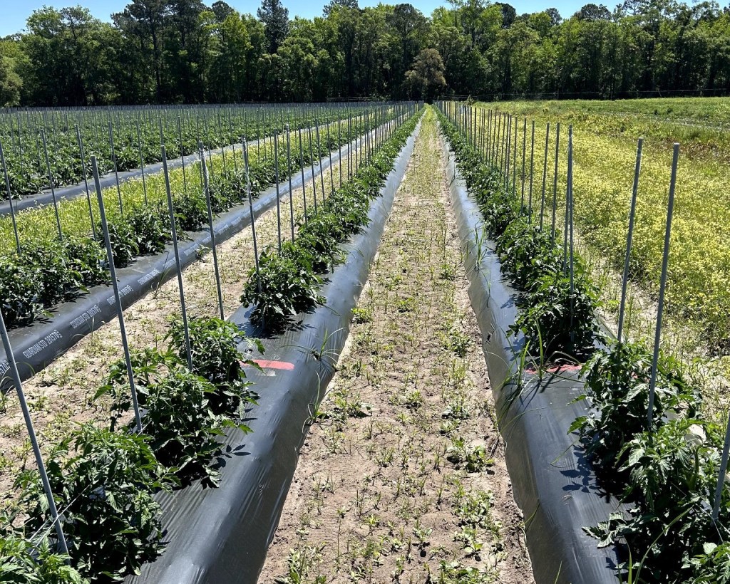 Weekly Field Update –&nbsp;4/21/25