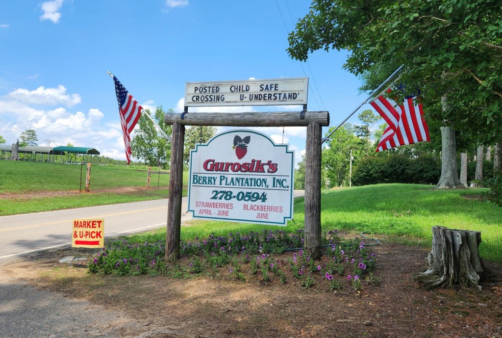 May Grower Spotlight – Gurosik Berry&nbsp;Plantation