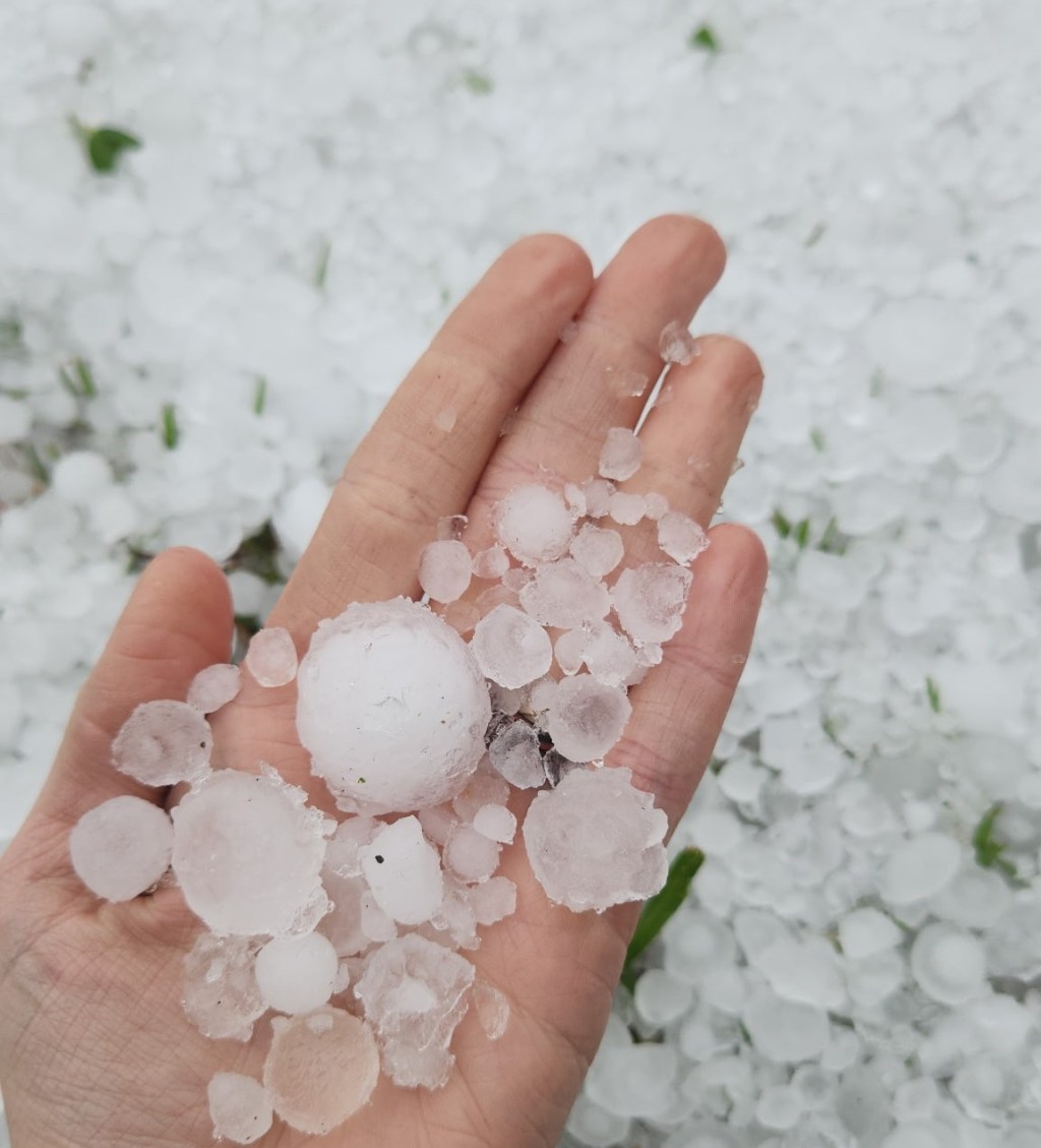 Weekly Field Update –&nbsp;5/5/25