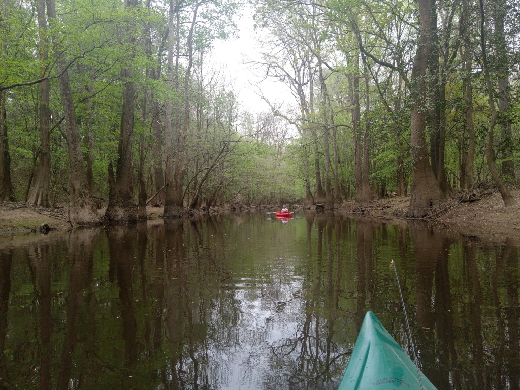 Question of the Week – Congaree National&nbsp;Park