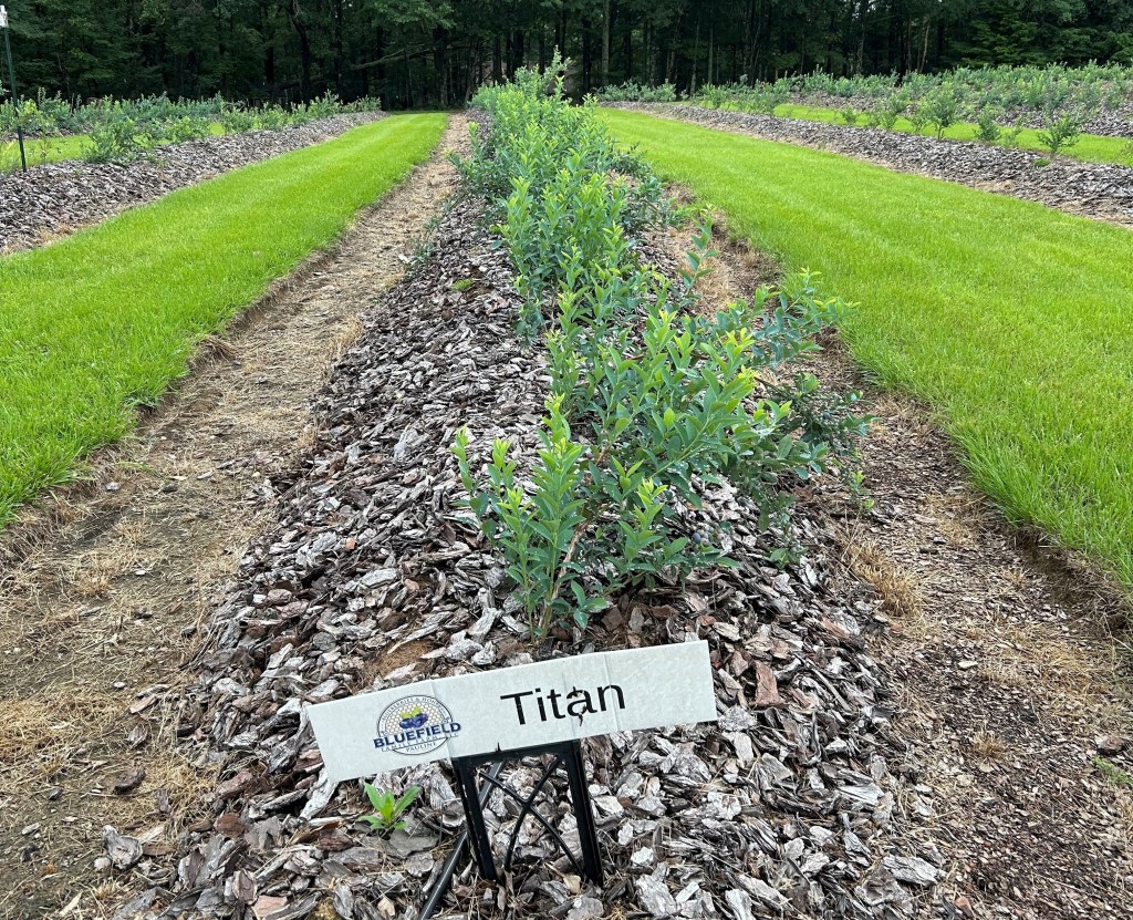 Weekly Field Update –&nbsp;6/16/25